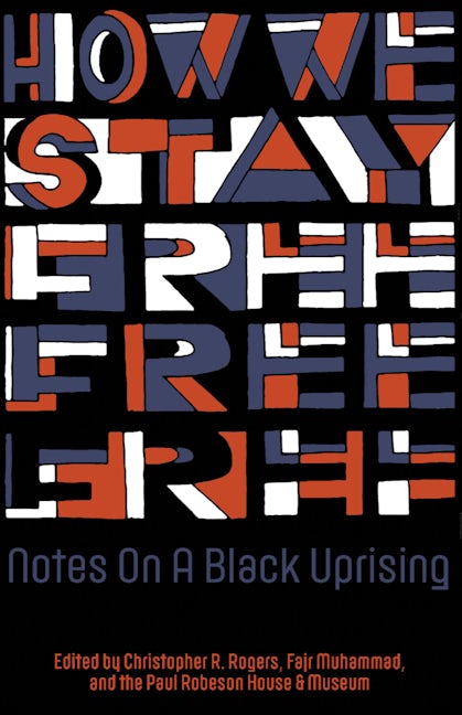 Book cover image for How We Stay Free ISBN: 9781942173502